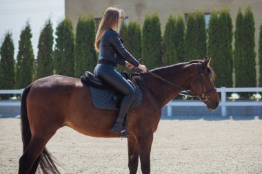 Bahar - yaz mevsimi, hobi konsepti, at süren kadın, insan ve hayvan ilişkisi.
