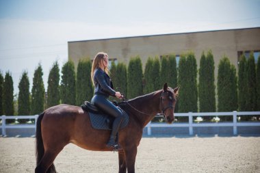 Bahar - yaz mevsimi, hobi konsepti, at süren kadın, insan ve hayvan ilişkisi.