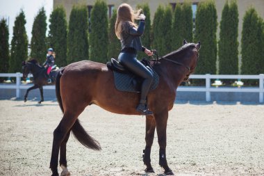 Bahar - yaz mevsimi, hobi konsepti, at süren kadın, insan ve hayvan ilişkisi.