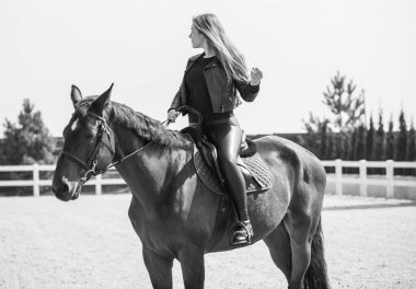 Bahar - yaz mevsimi, hobi konsepti, at süren kadın, insan ve hayvan ilişkisi.