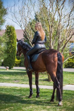 Bahar - yaz mevsimi, hobi konsepti, at süren kadın, insan ve hayvan ilişkisi.