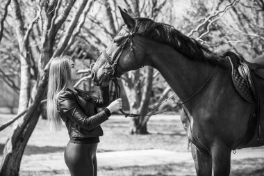 Bahar - yaz mevsimi, hobi konsepti, at süren kadın, insan ve hayvan ilişkisi.