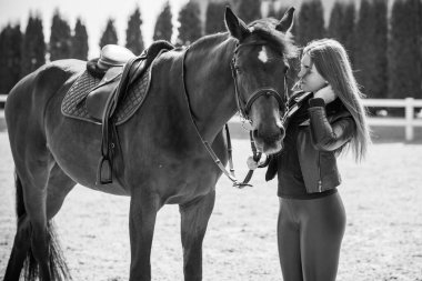 Bahar - yaz mevsimi, hobi konsepti, at süren kadın, insan ve hayvan ilişkisi.