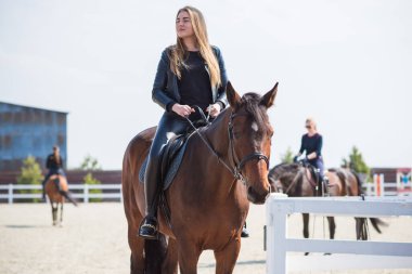 Bahar - yaz mevsimi, hobi konsepti, at süren kadın, insan ve hayvan ilişkisi.