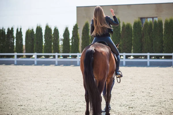 Primavera Stagione Estiva Concetto Hobby Donna Con Cavallo Una Natura — Foto Stock