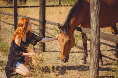 Bahar - yaz mevsimi, hobi konsepti, at süren kadın, insan ve hayvan ilişkisi.