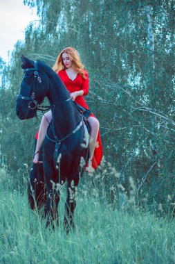 Özgürlük kavramı. Kırmızı elbiseli genç bir kadın ata biniyor. Tarlada güzel bir kız, siyah bir frieze binmiş, uzaklara bakıyor.