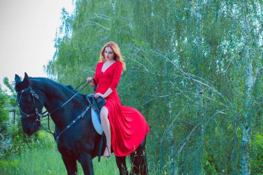 Özgürlük kavramı. Kırmızı elbiseli genç bir kadın ata biniyor. Tarlada güzel bir kız, siyah bir frieze binmiş, uzaklara bakıyor.