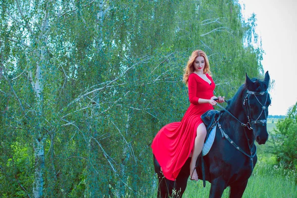 Özgürlük kavramı. Kırmızı elbiseli genç bir kadın ata biniyor. Tarlada güzel bir kız, siyah bir frieze binmiş, uzaklara bakıyor.