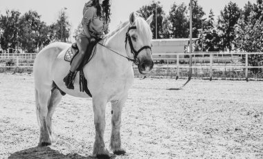 Atına sarılan genç ve güzel bir kadın insanlar ve hayvanlar arasındaki aşk kavramını kavrıyor. Kırsaldaki en iyi arkadaş atıyla güzel bir bayan yaşam tarzı. Evcil hayvan yaşamı için insan ve hayvan portresi