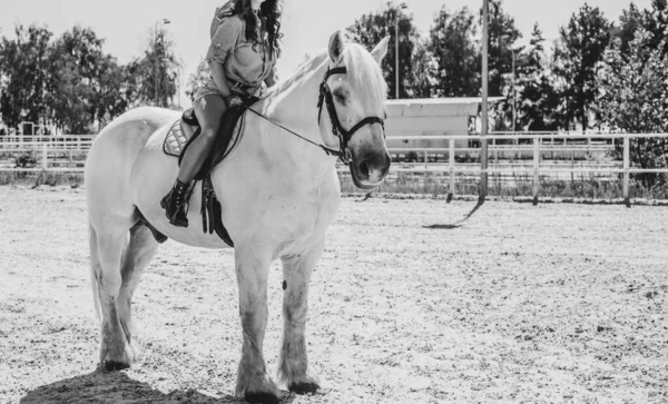 Atına sarılan genç ve güzel bir kadın insanlar ve hayvanlar arasındaki aşk kavramını kavrıyor. Kırsaldaki en iyi arkadaş atıyla güzel bir bayan yaşam tarzı. Evcil hayvan yaşamı için insan ve hayvan portresi