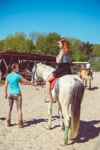 Een Dame Het Pretpark Loopt Met Een Paard Mooie Jonge — Stockfoto