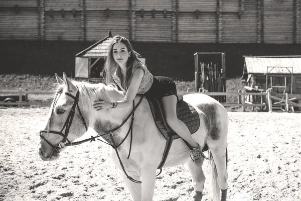 Dama Parque Atracciones Caminar Con Caballo Hermosa Joven Con Caballo — Foto de Stock