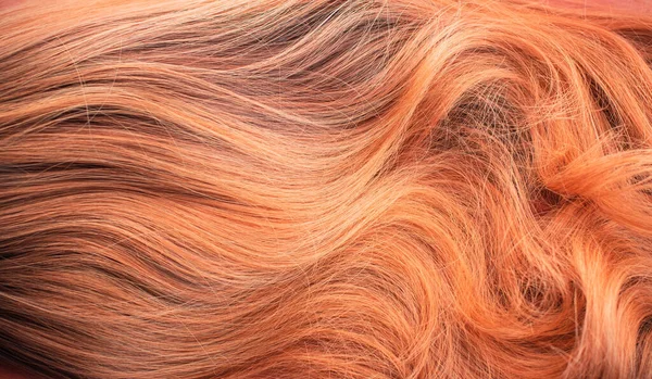 ウィッグ ナチュラルと合成髪 女性の美しさの概念 ウィッグの写真を閉じる 女性のための髪 — ストック写真