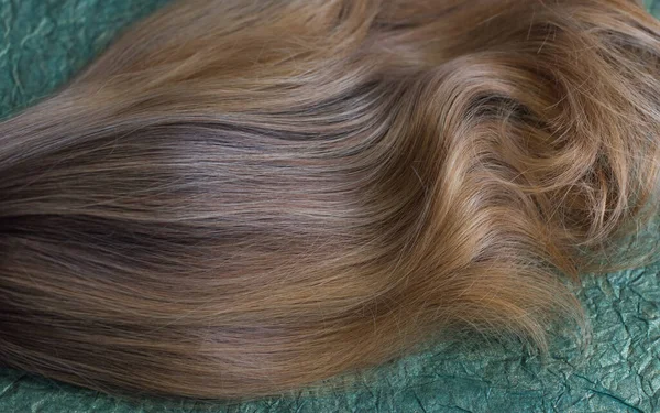 Varkens Natuurlijk Synthetisch Haar Het Schoonheidsconcept Voor Vrouwen Close Foto — Stockfoto