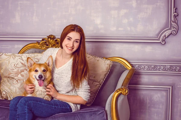 Raça Moda Inglesa Cães Corgi Raça Favorita Rainha Inglaterra Melhor — Fotografia de Stock