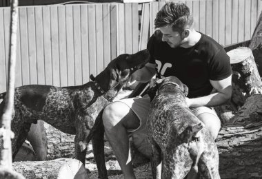 Kahverengi kurzhaar evcil hayvanlarıyla bahçesindeki kütüklerin yanında bir köpek sahibi bir adam, ağaçların yanında neşeli bir dolu hayvan çalar.