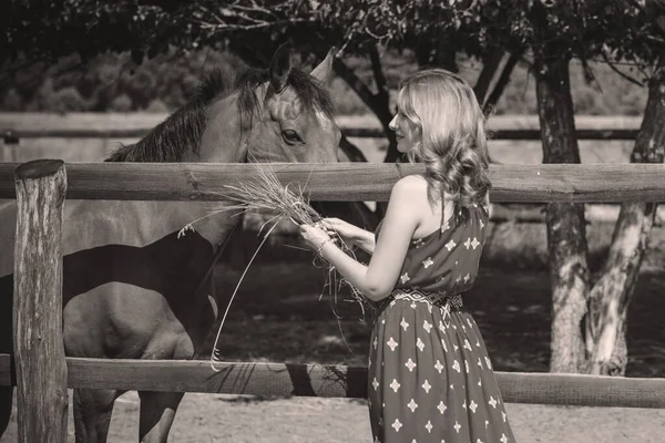 Mulher Estilo Casual Boêmio Moda Com Cavalos Uma Fazenda Animais — Fotografia de Stock