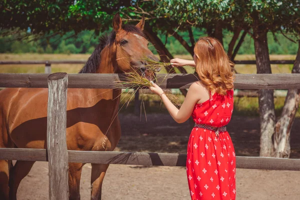 Vrouw Modieuze Boheemse Casual Stijl Met Paarden Een Boerderij Huisdieren — Stockfoto