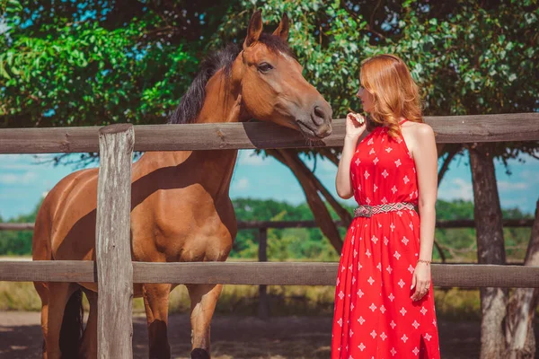 女人穿着时髦的波希米亚式休闲装 带着马在农场里 宠物动物在乡村牧场里 马是人类的朋友 — 图库照片