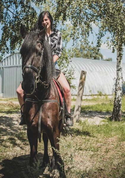 馬会社を楽しんでいる女性 若い美しい女性が黒馬の屋外で遊んだシャツを着て アメリカのカントリースタイルのスタイリッシュな女の子 — ストック写真