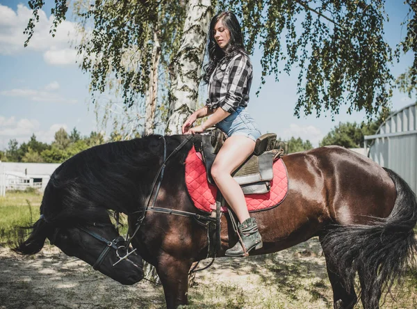 馬会社を楽しんでいる女性 若い美しい女性が黒馬の屋外で遊んだシャツを着て アメリカのカントリースタイルのスタイリッシュな女の子 — ストック写真