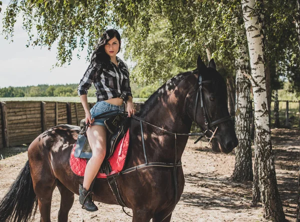 馬会社を楽しんでいる女性 若い美しい女性が黒馬の屋外で遊んだシャツを着て アメリカのカントリースタイルのスタイリッシュな女の子 — ストック写真