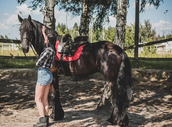 馬会社を楽しんでいる女性 若い美しい女性が黒馬の屋外で遊んだシャツを着て アメリカのカントリースタイルのスタイリッシュな女の子 — ストック写真