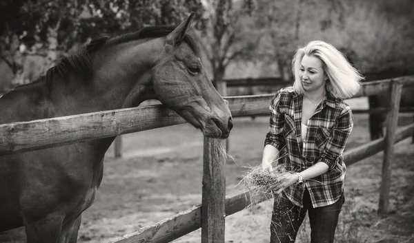 馬会社を楽しんでいる女性 田舎で馬の屋外で成熟した美しい スタイリッシュな女性 — ストック写真
