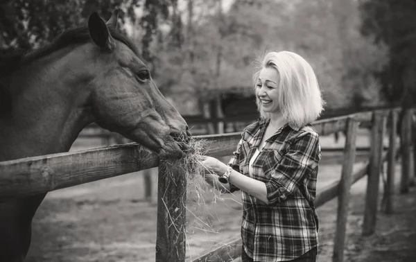Γυναίκα Απολαμβάνει Την Παρέα Των Αλόγων Ώριμη Όμορφη Άλογο Εξωτερικές — Φωτογραφία Αρχείου