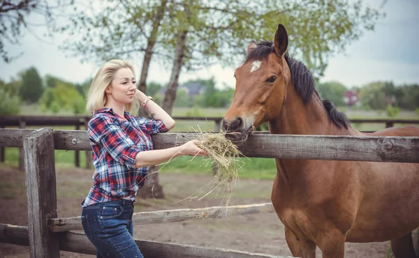 Alle Donne Piace Compagnia Dei Cavalli Maturo Bello Con Cavallo — Foto Stock