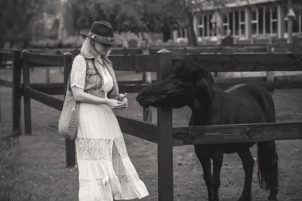 女人喜欢和马在一起风度翩翩的美丽与马户外 时尚的女士在农村 — 图库照片