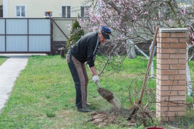 Bahar bahçesindeki adam. Bahçedeki son sınıf öğrencisi, adam hobisini seviyor, bahçede çalışıyor.