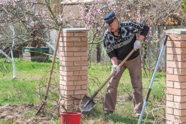 Bahar bahçesindeki adam. Bahçedeki son sınıf öğrencisi, adam hobisini seviyor, bahçede çalışıyor.