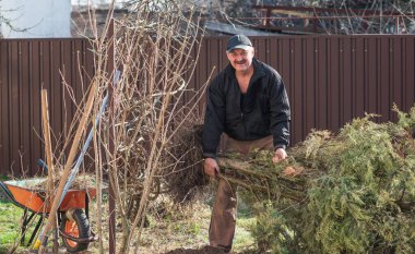 Bahar bahçesindeki adam. Bahçedeki son sınıf öğrencisi, adam hobisini seviyor, bahçede çalışıyor.