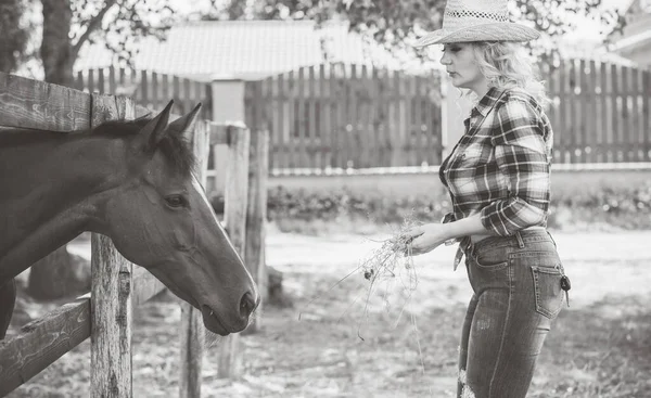 Estilo Country Americano Mulher Falar Com Cavalo Retrato Cavalo Equitação — Fotografia de Stock