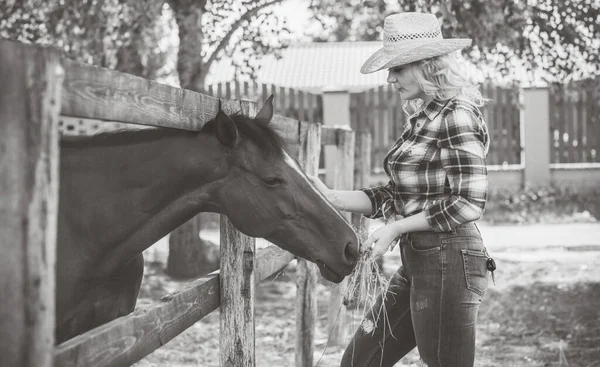 Amerikaanse Country Stijl Vrouw Gesprek Met Haar Paard Portret Van — Stockfoto