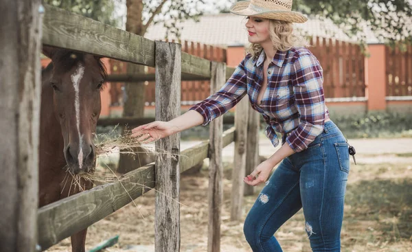 Amerikanischer Landhausstil Frau Gespräch Mit Ihrem Pferd Porträt Eines Reiters — Stockfoto