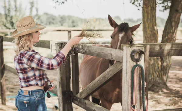 Estilo Country Americano Mulher Falar Com Cavalo Retrato Cavalo Equitação — Fotografia de Stock