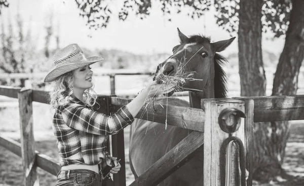 Amerykański Styl Country Kobieta Rozmawiająca Swoim Koniem Portret Konia Kobietą — Zdjęcie stockowe