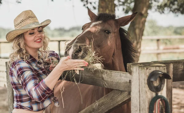 Estilo Country Americano Mulher Falar Com Cavalo Retrato Cavalo Equitação — Fotografia de Stock