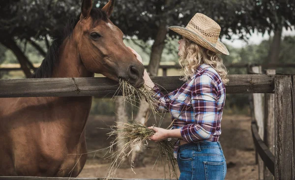 Amerykański Styl Country Kobieta Rozmawiająca Swoim Koniem Portret Konia Kobietą — Zdjęcie stockowe