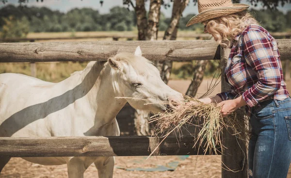 Американский Кантри Стиль Женщина Разговаривает Своей Лошадью Портрет Лошади Женщиной — стоковое фото