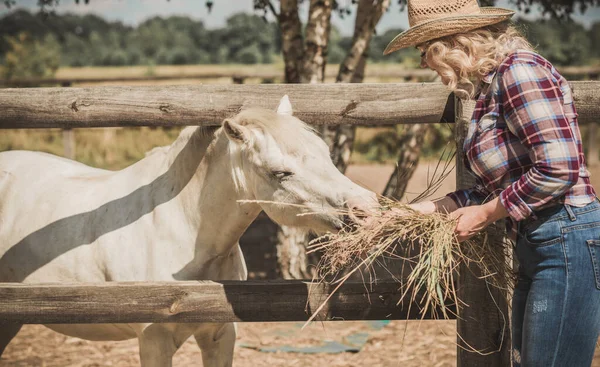 Estilo Country Americano Mulher Falar Com Cavalo Retrato Cavalo Equitação — Fotografia de Stock