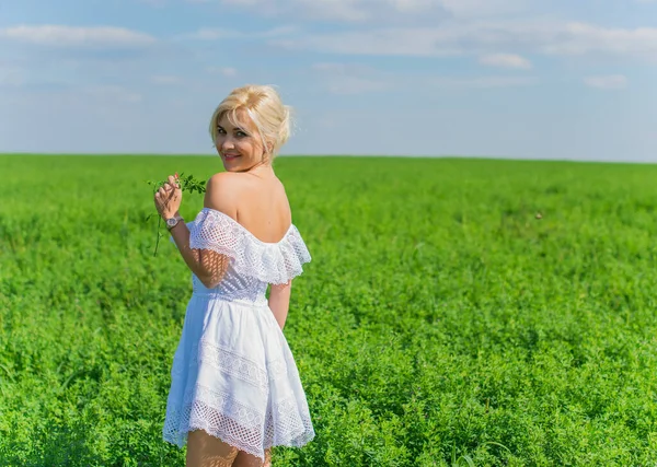 Vrijheidsconcept Romantische Foto Van Vrouw Groen Veld Avondzon Schoonheid Romantisch — Stockfoto