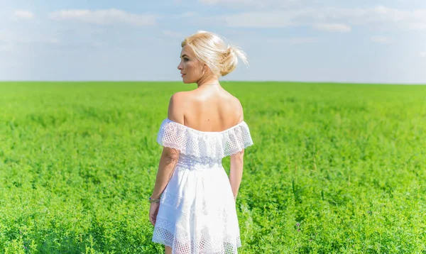 Özgürlük Konsepti Yeşil Tarladaki Kadının Romantik Fotoğrafı Akşam Güneşi Beyaz — Stok fotoğraf