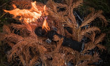 Pagan sihirli bebeği ateşler içinde, aura 'yı negatif ve diğer programlardan temizlemek, ritüeller
