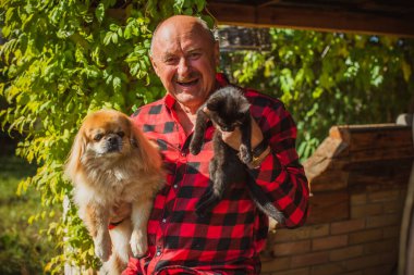 Kırmızı küçük köpeği olan yaşlı bir adam emekli, yaşlı insanların yaşam tarzı.