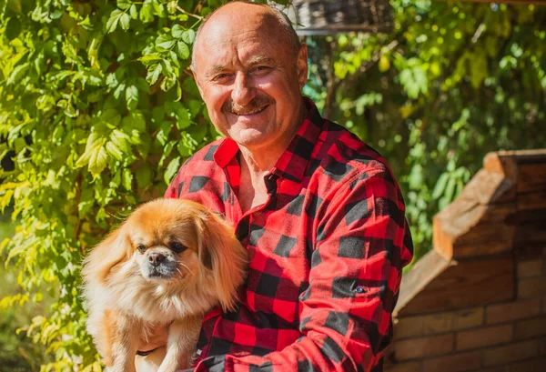 Kırmızı küçük köpeği olan yaşlı bir adam emekli, yaşlı insanların yaşam tarzı.