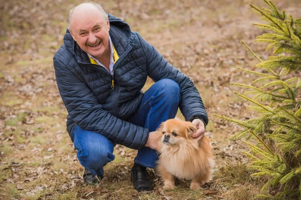 Kırmızı küçük köpeği olan yaşlı bir adam emekli, yaşlı insanların yaşam tarzı.